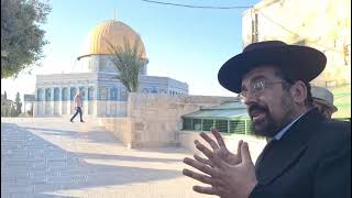 ובראשי חודשיכם ותקעתם בחצוצרות | הרב אליהו ובר (ישיבת הר הבית) - התמונה מוצגת ישירות מתוך אתר האינטרנט יוטיוב. זכויות היוצרים בתמונה שייכות ליוצרה. קישור קרדיט למקור התוכן נמצא בתוך דף הסרטון ובראשי חודשיכם ותקעתם בחצוצרות | הרב אליהו ובר (ישיבת הר הבית) - התמונה מוצגת ישירות מתוך אתר האינטרנט יוטיוב. זכויות היוצרים בתמונה שייכות ליוצרה. קישור קרדיט למקור התוכן נמצא בתוך דף הסרטון