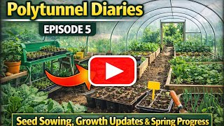 Polytunnel Diaries – Episode 5 | Seed Sowing, Growth Updates & Spring Progress