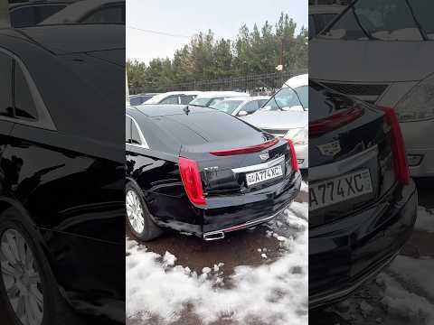 CODILLAC 28 the street                             +998 99-899-51-41