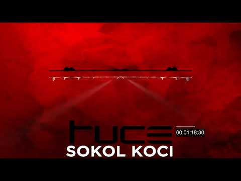 Sokol Koci - Tuçe