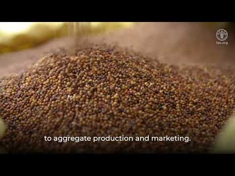 OCOP India – revitalizing “nutri-cereal” millets value chain for health and economic benefits