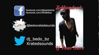zHUNDRED - If Your Sure
