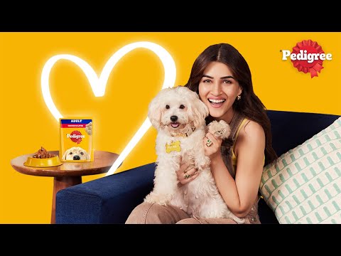 Pedigree Gravy | Kriti's love language for Bruno