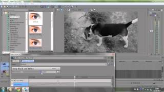 preview picture of video 'Black and White Effect Vegas Pro12'