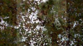 Cowboy Junkies &amp; John Prine   If you were the woman1