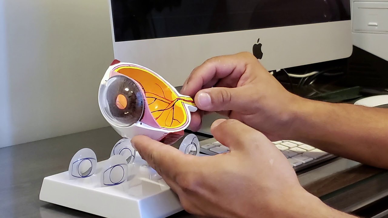 Raphael Montesinos-21