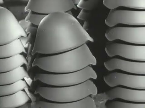 NVA Lehrfilm - "Unser Stahlhelm" 1966