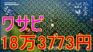 【ほの暮しの庭】水やり不要ワサビ金策・水田に植えて育てて売る攻略実況