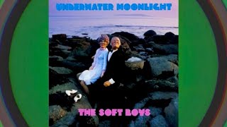 The Soft Boys- Underwater Moonlight (Side One)