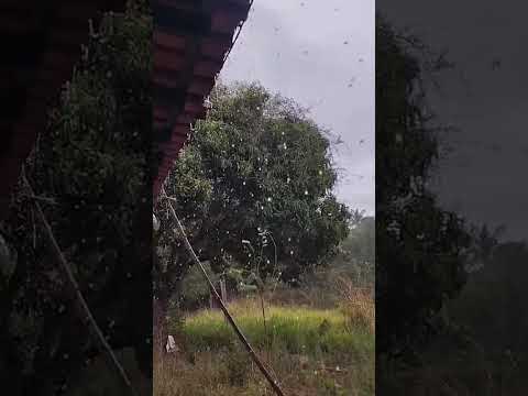 Chuva em São João Evangelista MG