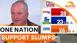 One Nation support plummets following controversial views on multiculturalism and rights | Sunrise