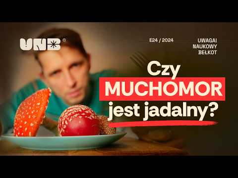 Czy muchomor jest jadalny?
