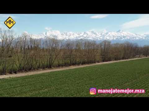 TUNUYÁN, MENDOZA