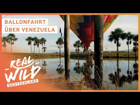 Ballonfahrt mit Kurs auf die Tafelberge Venezuelas | Natur- und Tierdoku