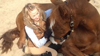 Zaufanie ze strony konia - trening koni metodami naturalnymi