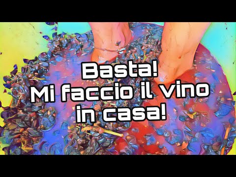 Tutorial: come fare il vino in casa con poche attrezzature 😎🍷