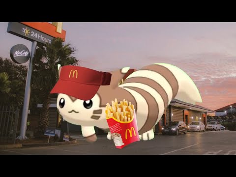 Furret gets to work