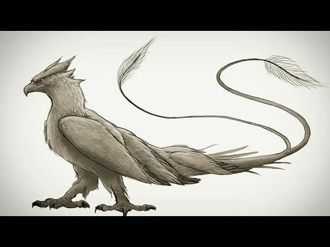 The Lifestyle Of INZUNZA 🌟👽| Spiritual Tarot Reading 💫✨