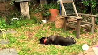 You Make Me Happy Clare Bowditch &amp; Eddie Perfect   Offspring   Season 3