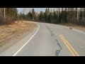 Fox Lynx Yell At Each Other In Odd Spat Across The Road In Canada