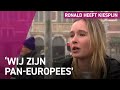 Hoe vernieuwend is Volt eigenlijk?