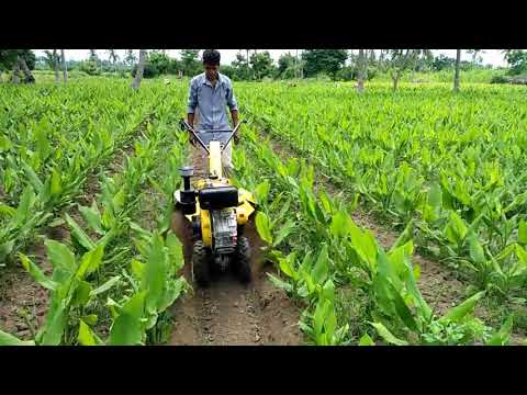 KK-IC-350D Cultivator / Power Weeder (Diesel)