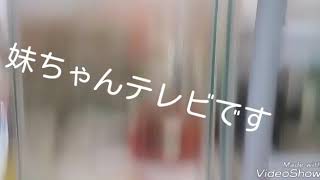 初編集です❗金魚動画