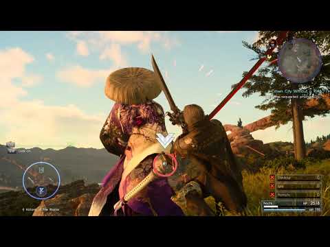 Legendary Ronin boss fight Solo