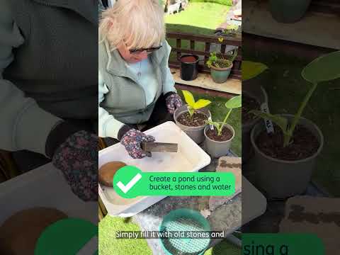Tips on creating a wildlife haven