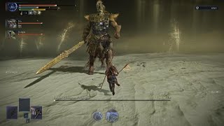 ELDEN RING NIGHTREIGN Fulghor Champion of the Nightglown Tmarkz / pan / Twilight [ The butter run ]