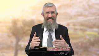 מסכת מנחות דף קז - 8 דקות של לומדות ועמקות בדרך הלימוד הישיבתית [Menachot 107]