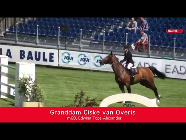 Implanted Embryo Emerald x For Pleasure.