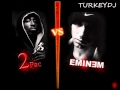 Eminem feat. 2pac ft. Christina Aguilera - Castle ...