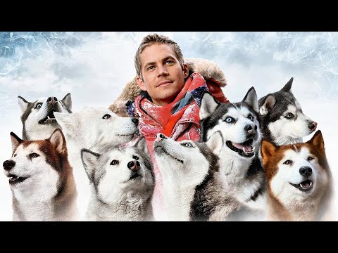 Eight Below: Stranded in Antarctica for 175 Days, the Sled Dogs Fight the Cold, Hunger, and Death