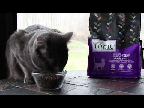 How to Switch Your Cat to Nature's Logic