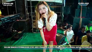 Download lagu CAMELIA - KECEWA EVIS RENATA - WEDDING ABDI & NAFISAH MLATIHARJO GAJAH DEMAK mp3