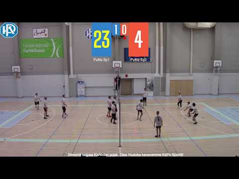 BP AM K1 22774 Puma Bp1 - Puma Bp3