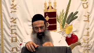 ביאור כוונות השופר - חלק י | הסבר על מהלך הנסירה הנעשה בימים נוראים | הרב מאיר מועלם