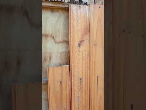 Vecino de Villa Chicligasta en situación de abandono