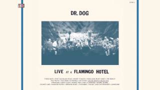 Dr. Dog - "Jackie Wants A Black Eye" (Full Album Stream)