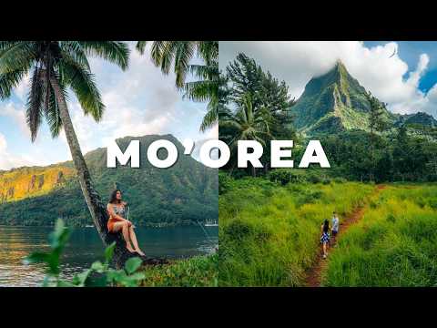 Is Moorea The PERFECT Island in French Polynesia?