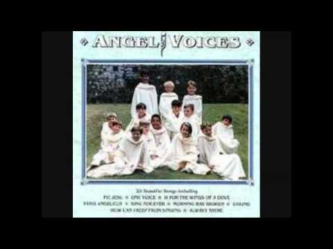 Libera/Angel Voices - Panis Angelicus 1988, 1992, 2010