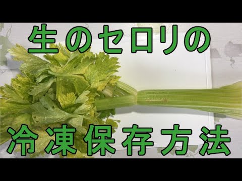 セロリの冷凍:これが一番良い方法です 植物