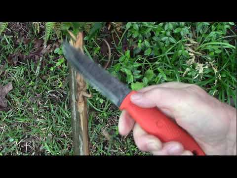 Review:  Condor Terrasaur Orange bushcraft knife