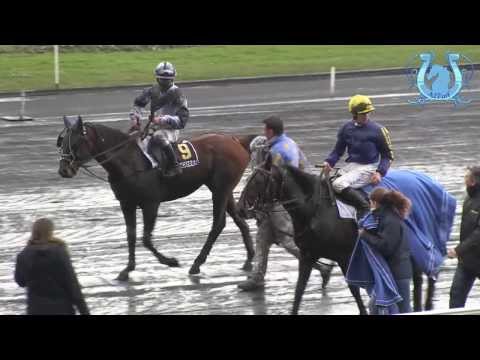 BIRD PARKER sur le tapis vert dans le Prix Félicien Gauvreau - A2TURF.COM