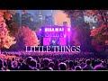 Ella Mai Performs Little Things At Central Park Animated Music Video