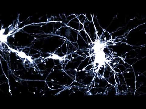 flávio XL & Fabio Emecê -  Microorganismos (prod. Dudu Foxx)