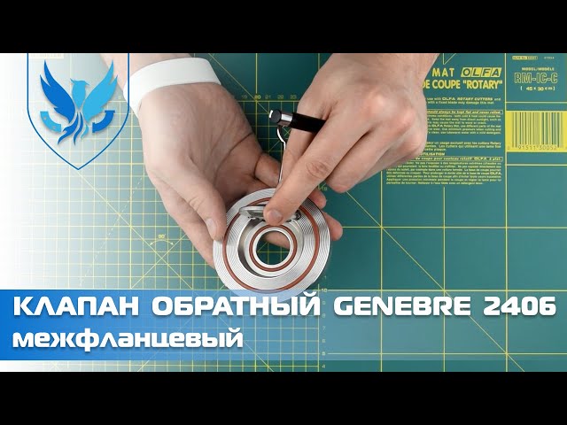Клапан обратный нержавеющий межфланцевый Genebre 2406