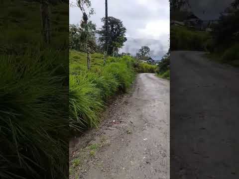 Napo chaco rumipamba cerca del pueblo del chaco desde 500 metros llama 0967210480