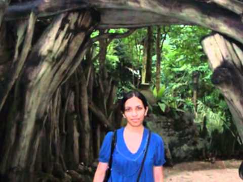 HAPPY BIRTHDAY RESHU Pet name for today Sunita